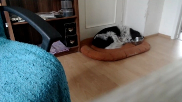 sammy022  28-08-2021 Recorded Video Download